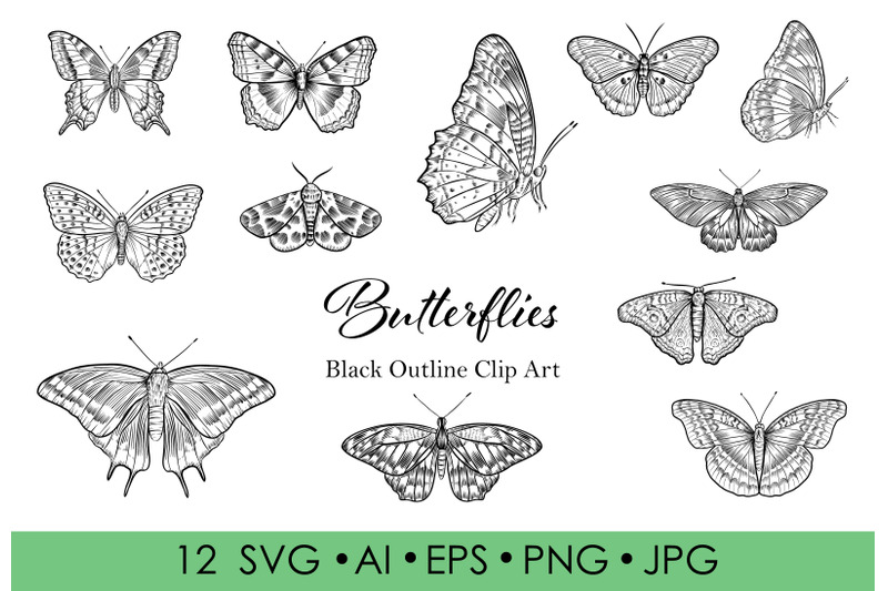 black and white butterfly outline clip art