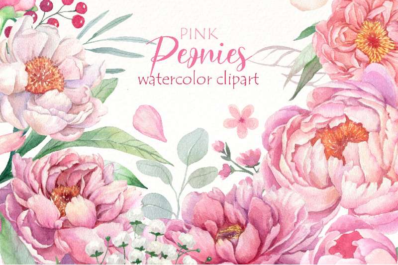 Watercolor Peonies Floral clipart, Light Pink flowers png. By ...