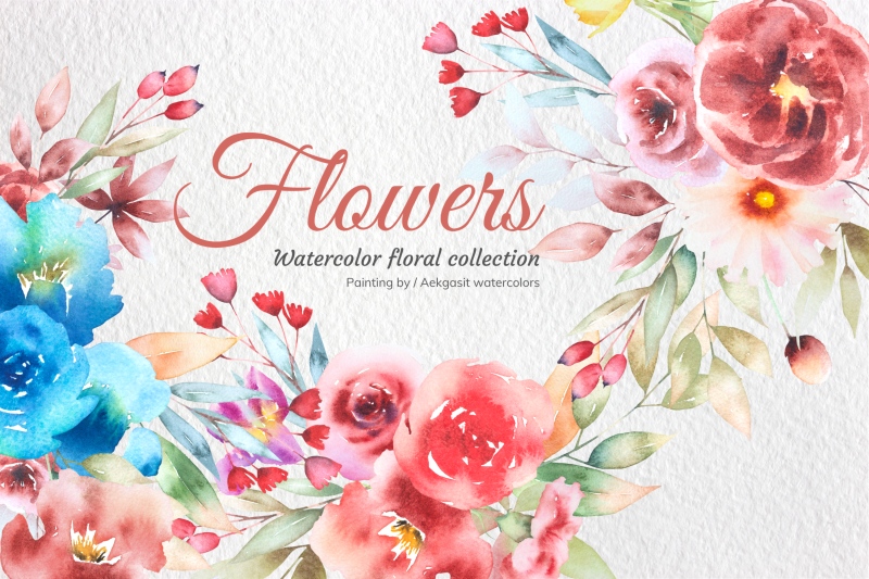 Watercolor Flower Collection No 1 By Aekgasit watercolors | TheHungryJPEG