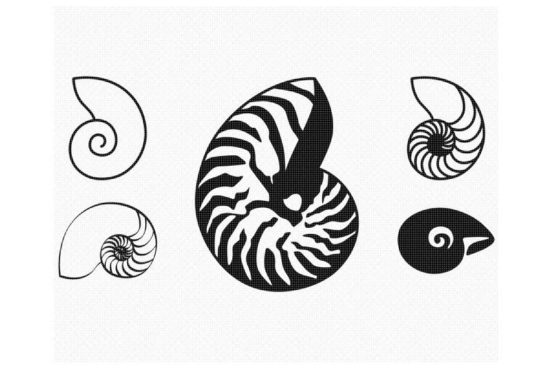 Nautilus Seashell SVG By CrafterOks | TheHungryJPEG