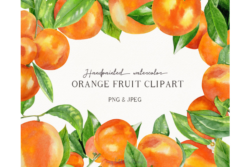 Orange fruit clipart hand painted elements #c40 By MyLittleMeow ...