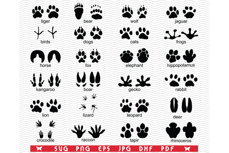 SVG Traces Wild Animals, Black silhouette, Digital clipart By ...