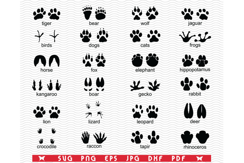 SVG Traces Wild Animals, Black silhouette, Digital clipart By ...