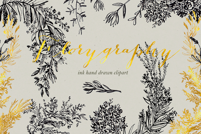 Florygraphy. Calligraphy ink clipart By LABFcreations | TheHungryJPEG