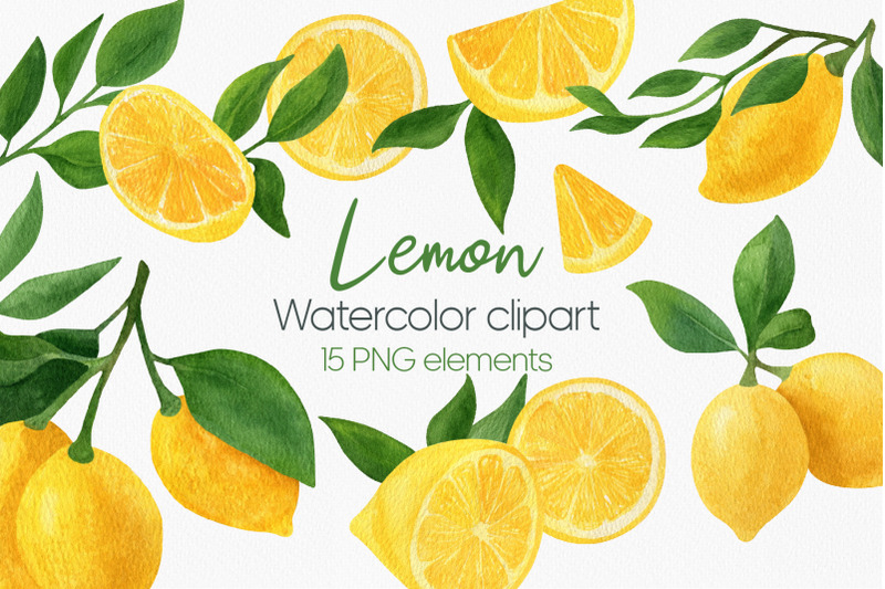 Lemon Fruit Watercolor Clipart, Fresh Summer Fruit By Anntre 