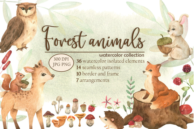 Forest animals watercolor collection By Mari_artchef | TheHungryJPEG