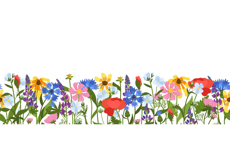 Wild meadow flowers seamless border. Beautiful field herbs, decorative ...