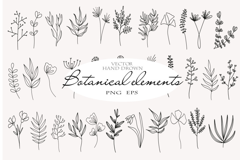 Large set of hand drawn botanical elements in vector Png Eps By ...