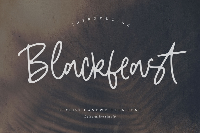 Blackfeast Stylist Handwritten Font By Letterative Studio | TheHungryJPEG