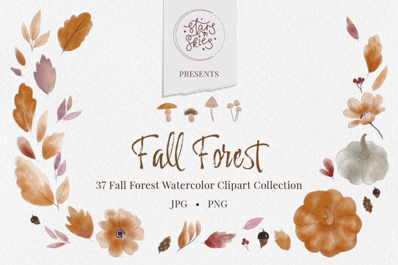 Fall Forest Watercolor Clipart Collection By Stars n Skies | TheHungryJPEG