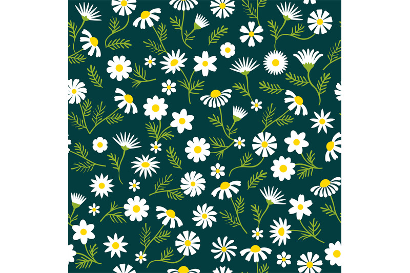 Chamomile pattern. Decorative flowers illustration for textile design ...