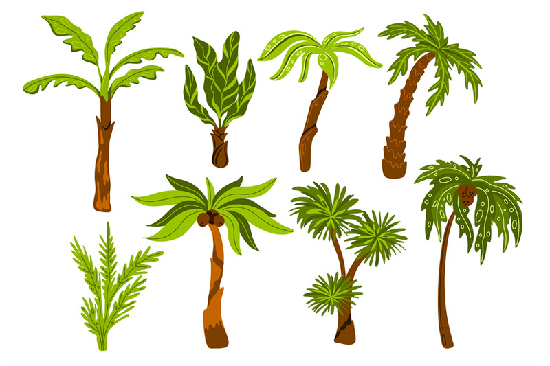 tropical palm tree clipart