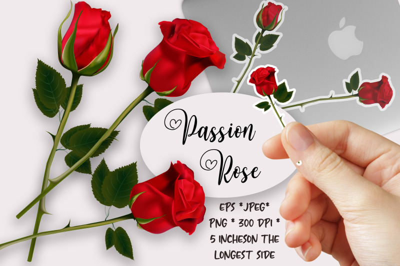 Red Rose Flowers png Cliparts stickers By Annetart | TheHungryJPEG