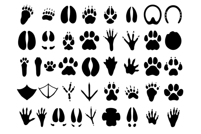 41 Animal Paw Stencil, Animal Paw Bundles Stencil. By Doodle Cloud ...