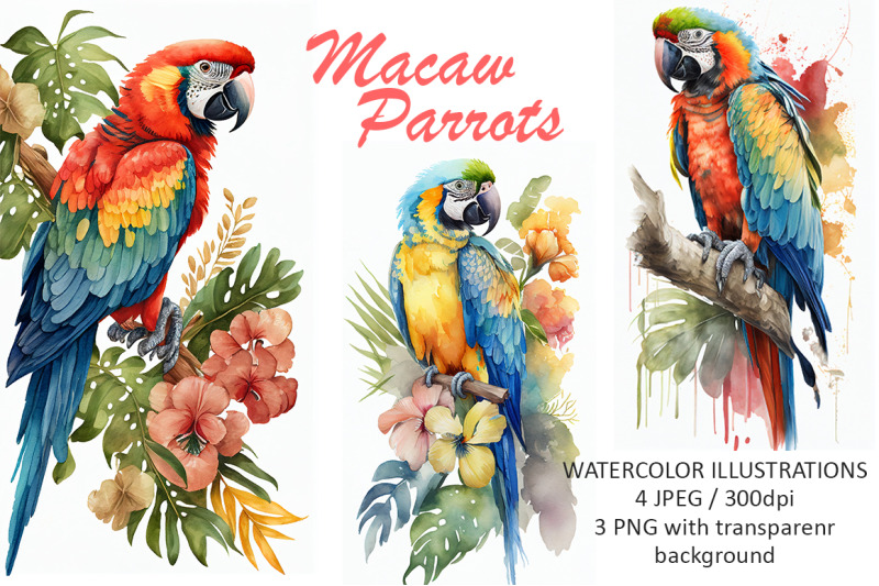 Macaw Parrots Watercolor Illustrations By Evgeniiasart Thehungryjpeg