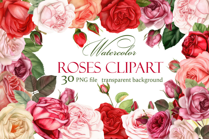 Watercolor floral clipart, Roses clipart By Elenazlata_Art | TheHungryJPEG