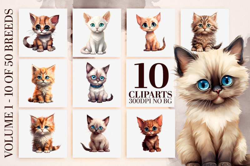 Adorable Kitten Clipart Bundle - Watercolor Cats Sublimation By ...