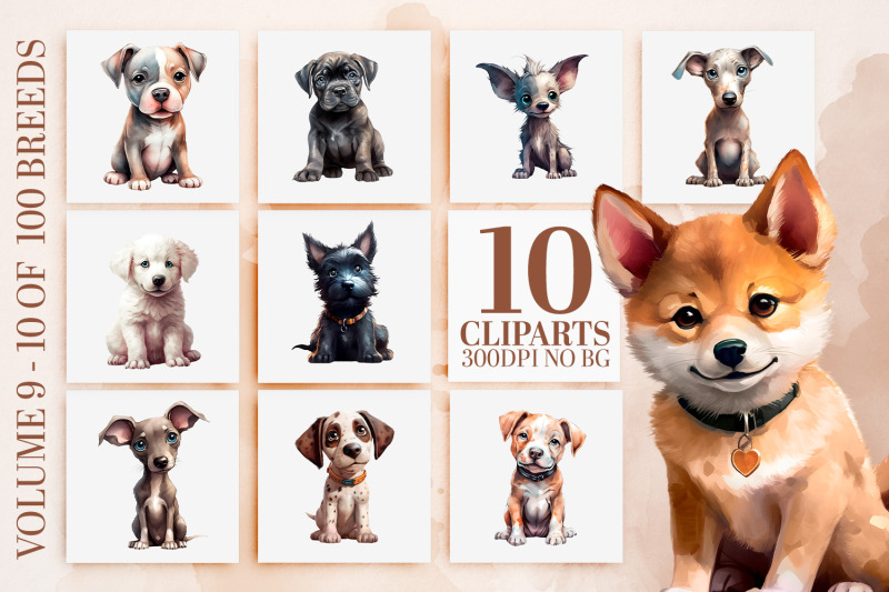 Charming Puppy Breeds Clipart Bundle - Watercolor PNG By SharpSVG ...