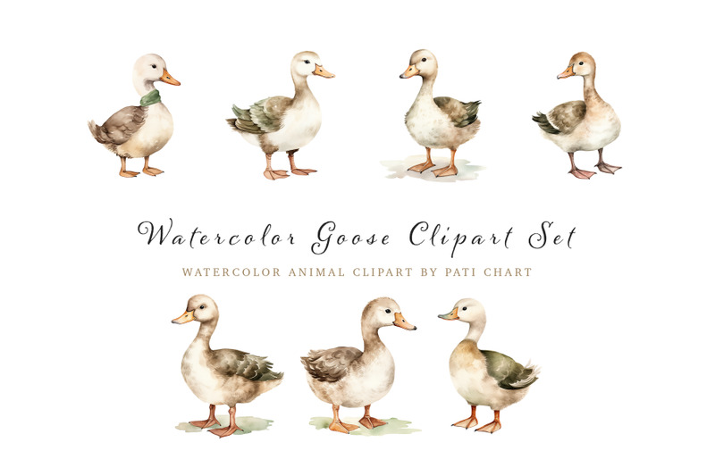 Watercolor Duck Clipart Animal Set, Nursery Collection By Pati Paints ...