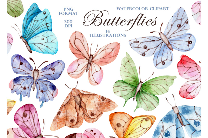 Butterflies Watercolor Clipart. Moths, Insects. By Illustrator Sabina Z 