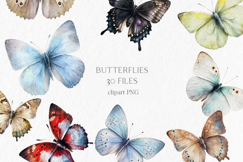 Butterflies Watercolor Clipart PNG By MyLittleMeow | TheHungryJPEG