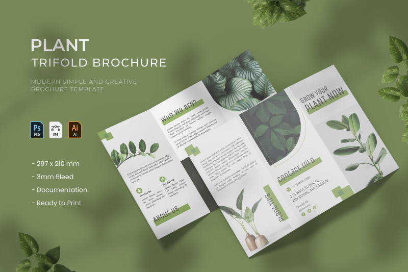 Plant - Trifold Brochure By Vunira | TheHungryJPEG