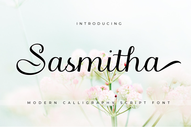 Sasmitha Script By cooldesignlab | TheHungryJPEG