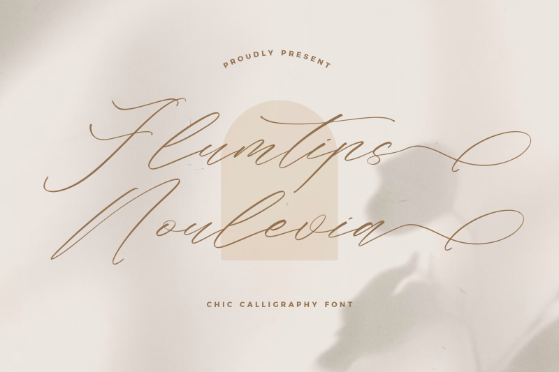 Flumtips Noulevia - Chic Calligraphy Font By Storytype Studio ...