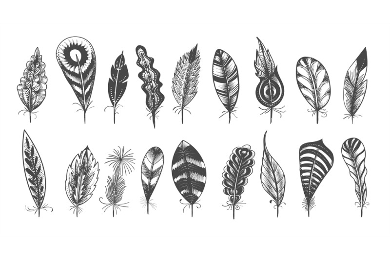 Ethnic feathers sketch By vectortatu | TheHungryJPEG