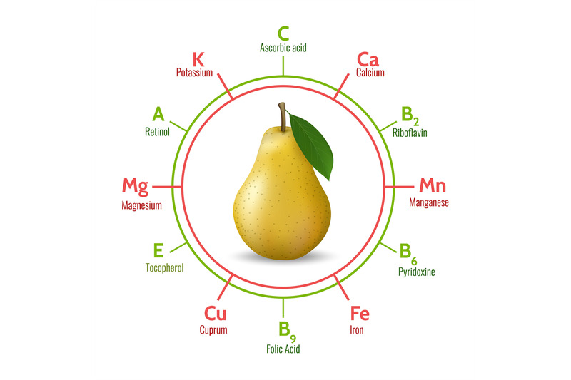 Pear benefits infographic By vectortatu TheHungryJPEG