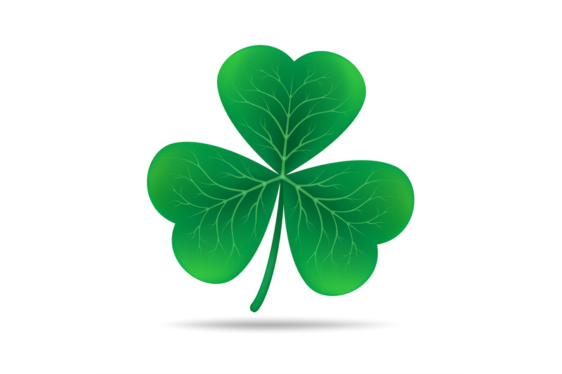 Trefoil clover. Irish shamrock By vectortatu | TheHungryJPEG