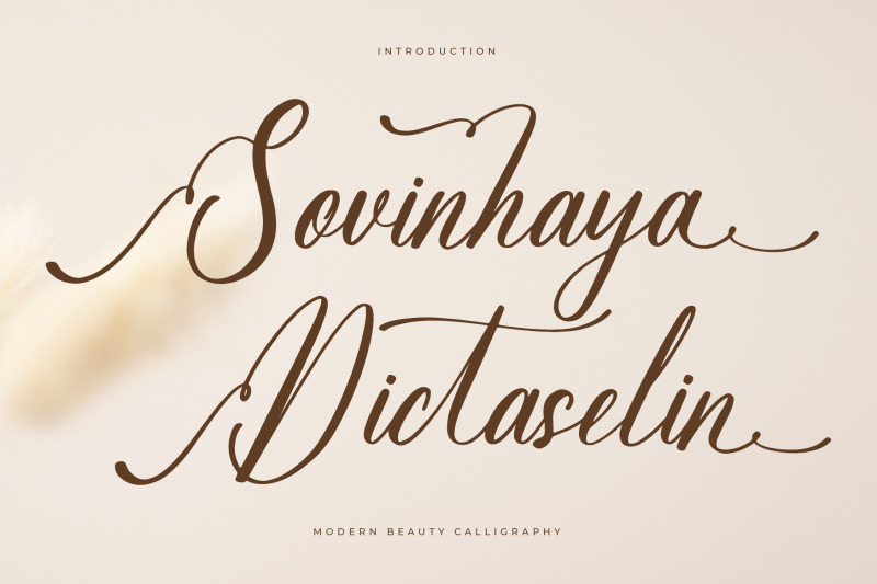 Sovinhaya Dictaselin - Modern Beauty Calligraphy By Letterena Studios ...