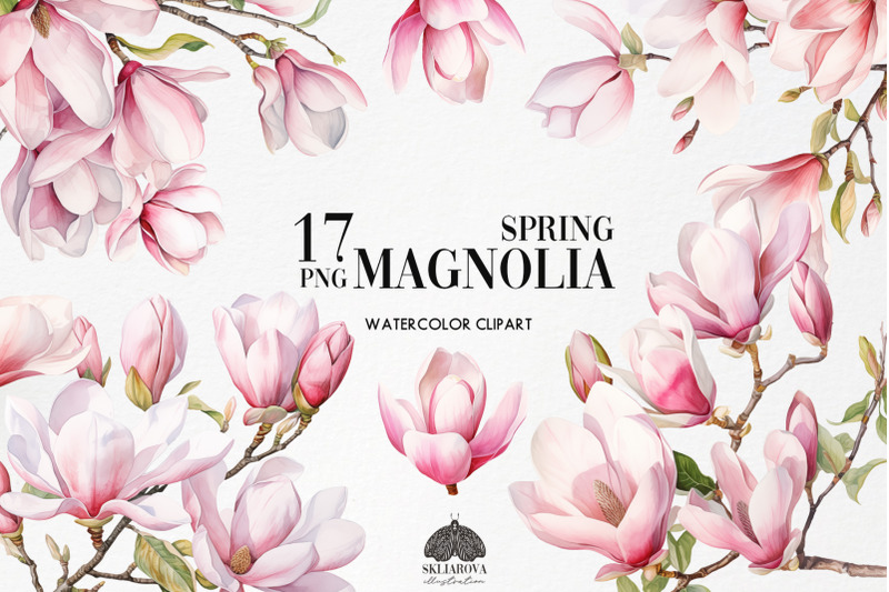 Watercolor Magnolia Clipart By HappyWatercolorShop | TheHungryJPEG