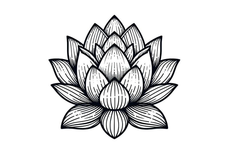 lotus flower simple line drawing By dianaxstoyanova | TheHungryJPEG