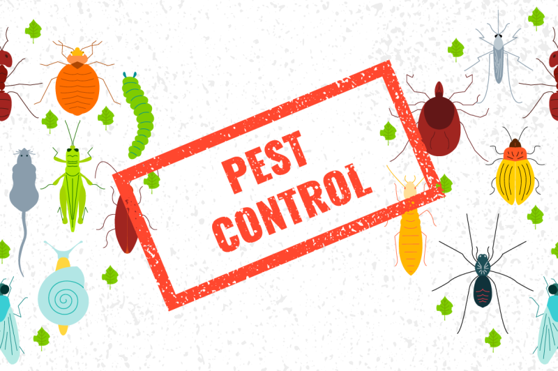 Pest Control Clipart & Patterns By art4stock TheHungryJPEG.com.
