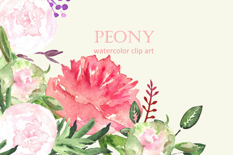 Peony set watercolor clip art By LABFcreations | TheHungryJPEG