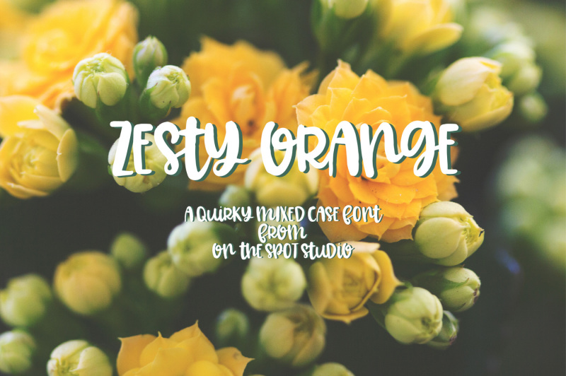 Zesty Orange By OnTheSpotStudio TheHungryJPEG