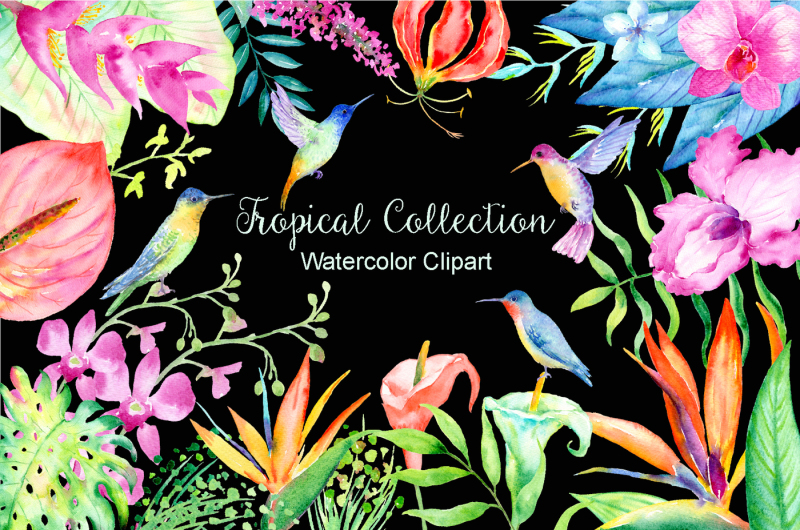 Tropical collection