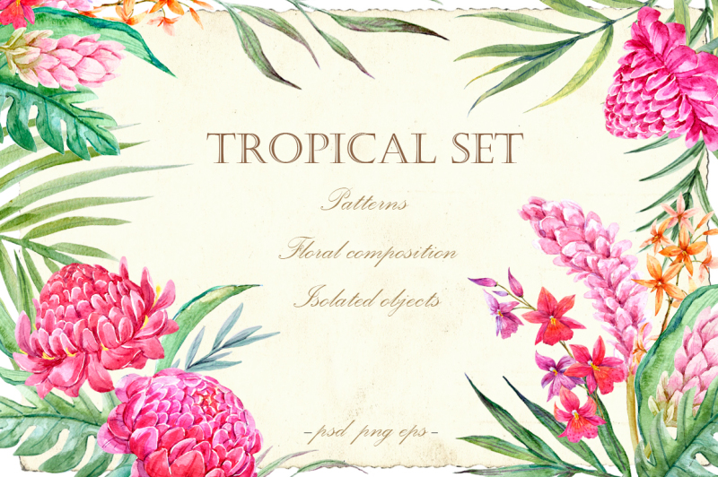 Tropical Set Vector Psd Png By Lembrik S Artworks Thehungryjpeg Tropical Set Vector Psd Png By Lembrik S Artworks Thehungryjpeg