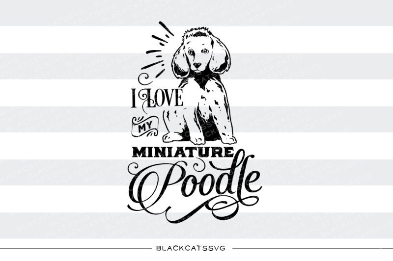 Download I Love My Miniature Poodle Svg Scalable Vector Graphics Design Downloads 34 000 Free Svg Cut Files