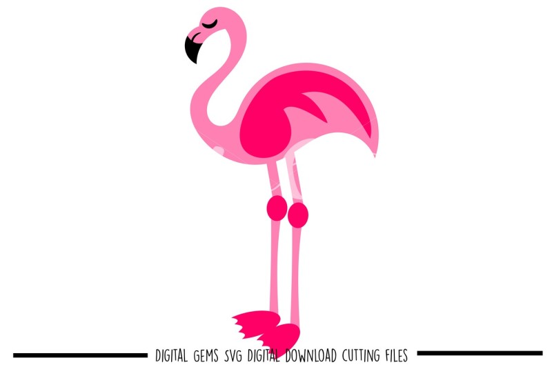 Download Flamingo Svg Dxf Eps Png Files Download Free Svg Files Creative Fabrica PSD Mockup Templates
