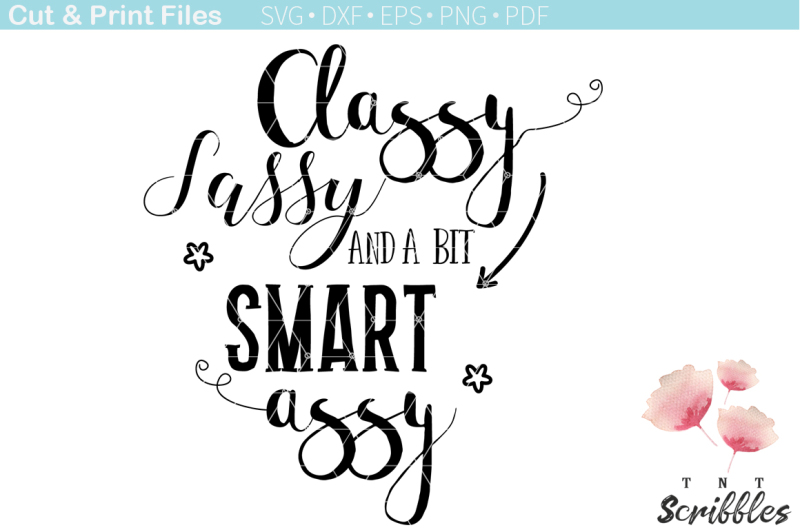 Download Free Classy Sassy And A Bit Smart Assy Svg Free Svg Files Download SVG, PNG, EPS, DXF File