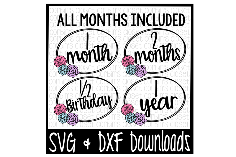 Download Free Monthly Milestone Baby Monthly Cut File Crafter File All Free Svg Cut Files Silhouette