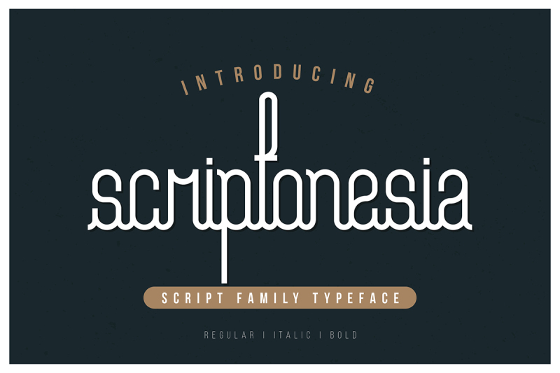 Scriptonesia Font Family By TGIF STD | TheHungryJPEG.com