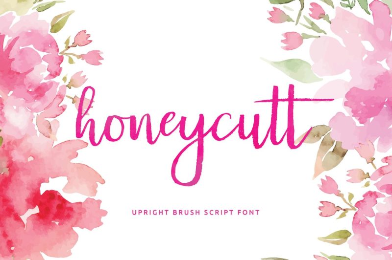 Honeycutt Brush Script By Hanna James | TheHungryJPEG