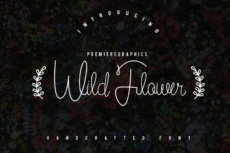 Wild Flower Script By Premiere Graphics Thehungryjpeg Com