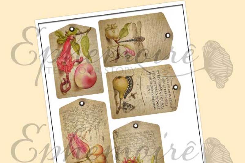 Vintage Fruit And Floral Tag Sheet Pdf And Png Scalable Vector Graphics Design Free All Svg File Images