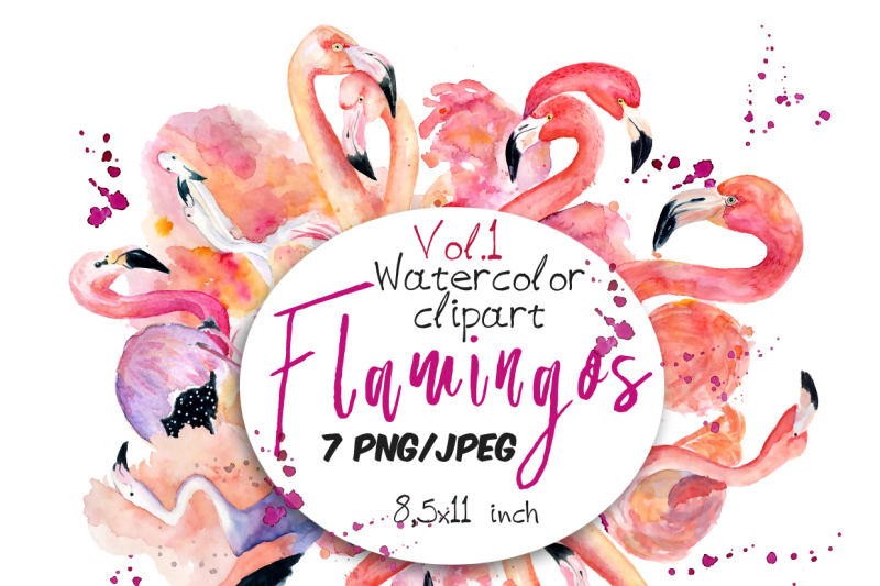 Download Watercolor flamingo clipart Tropical summer set. Vol.1 By ...