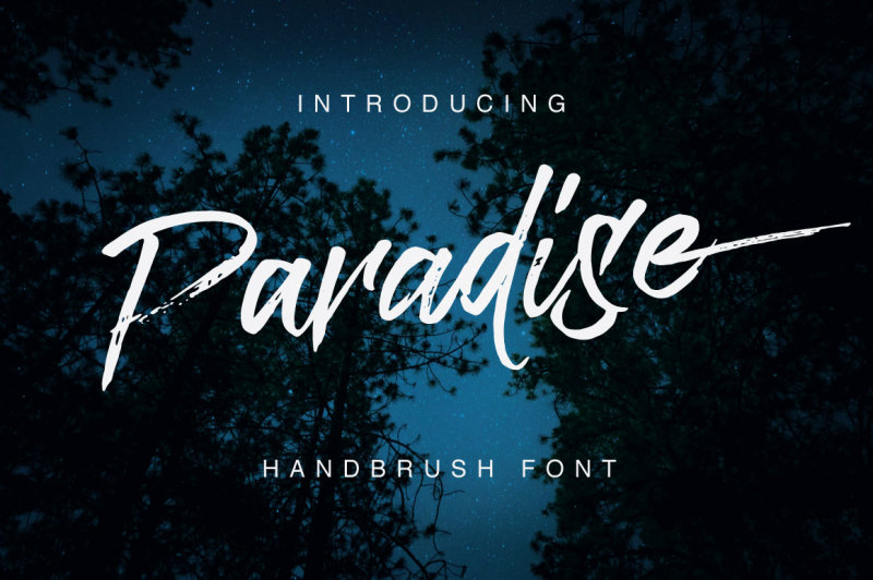 Paradise Typeface By Queen Type | TheHungryJPEG