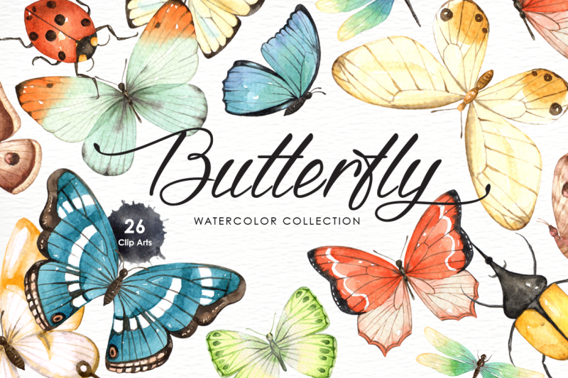 Butterfly Watercolor Collection By everysunsun | TheHungryJPEG